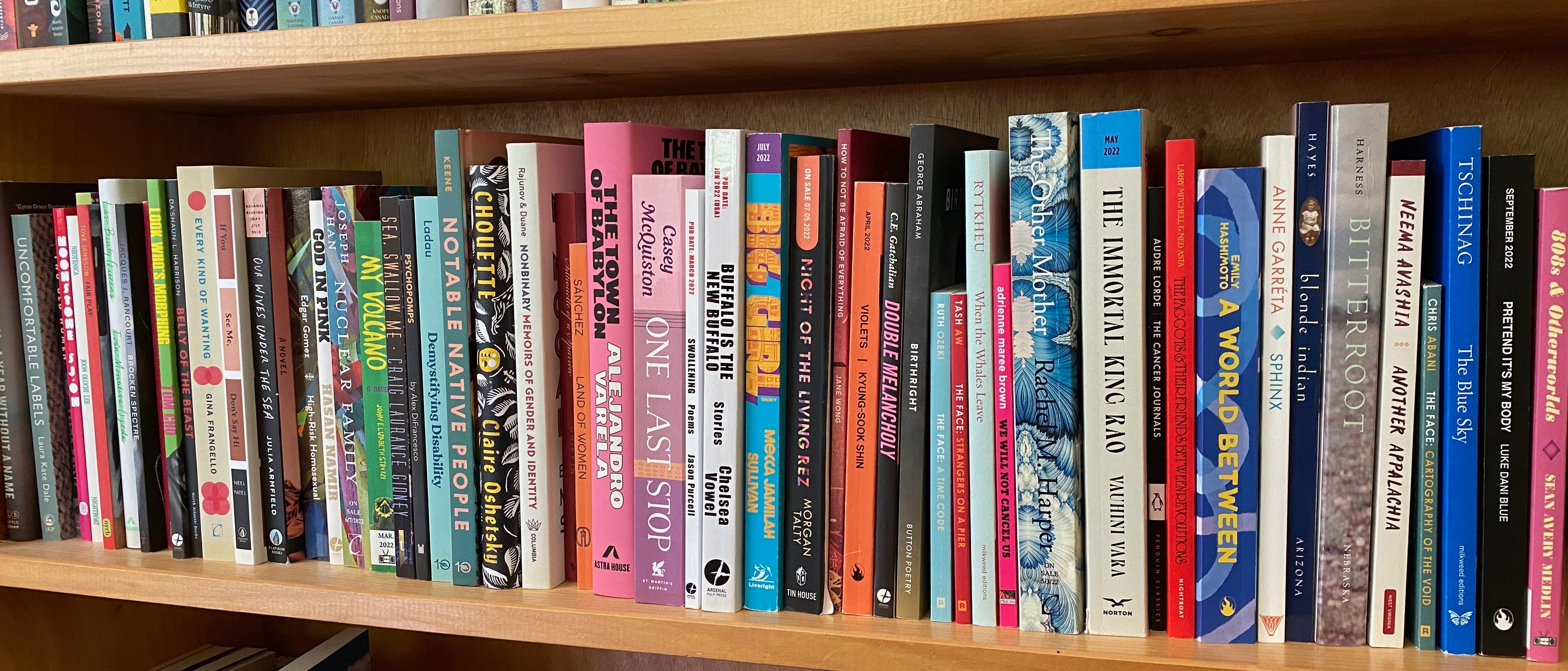 A long wooden shelf stuffed with about sixty books, including The Town of Babylon, One Last Stop, The Other Mother, Big Girl, The Immortal King Rao, and A World Between.