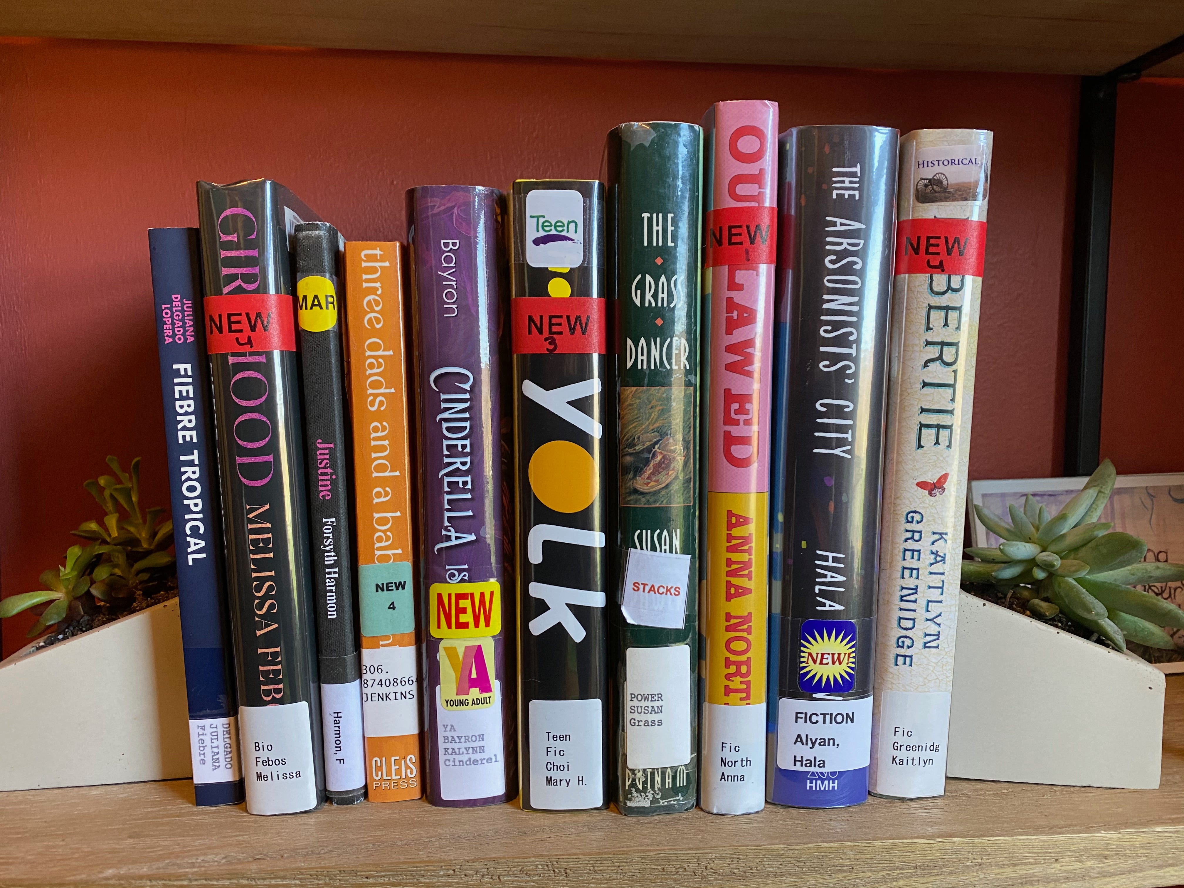 A shelf of library books between two succulent planter bookends. The books are:&nbsp;Fiebre Tropical, Girlhood, Justine, Three Dads and a Baby, Cinderella is Dead, Yolk, The Grass Dancer, Outlawed, The Arsonists’ City,&nbsp;and&nbsp;Libertie.