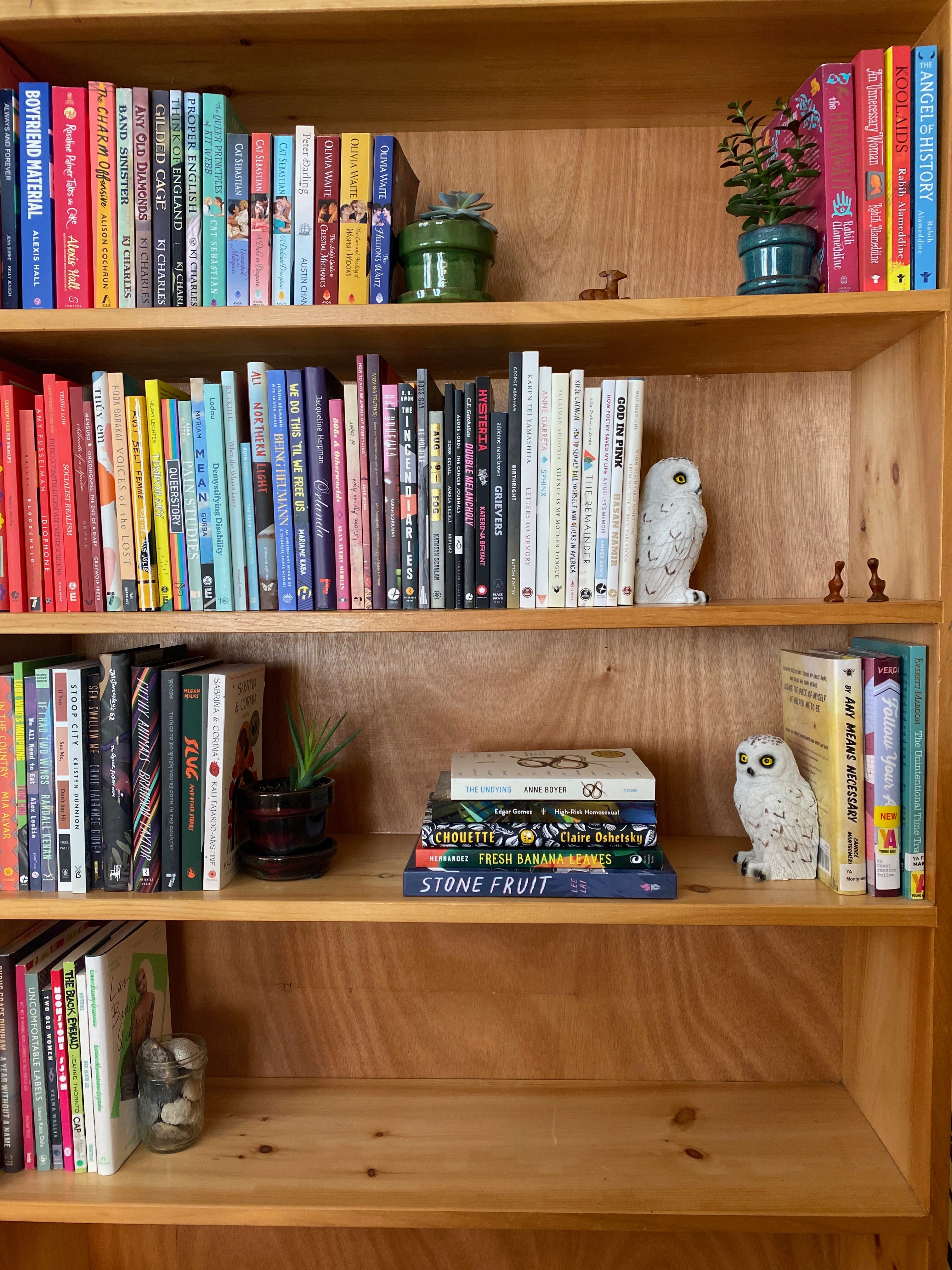 A five-shelved wooden bookcase. Each shelf holds colorful books, but they don’t fill up all the space. Several small succulents in bright pots act as bookends, as do a pair snowy owl figurines and a glass jar full of stones. Small wooden animal figurines sit among the books. 