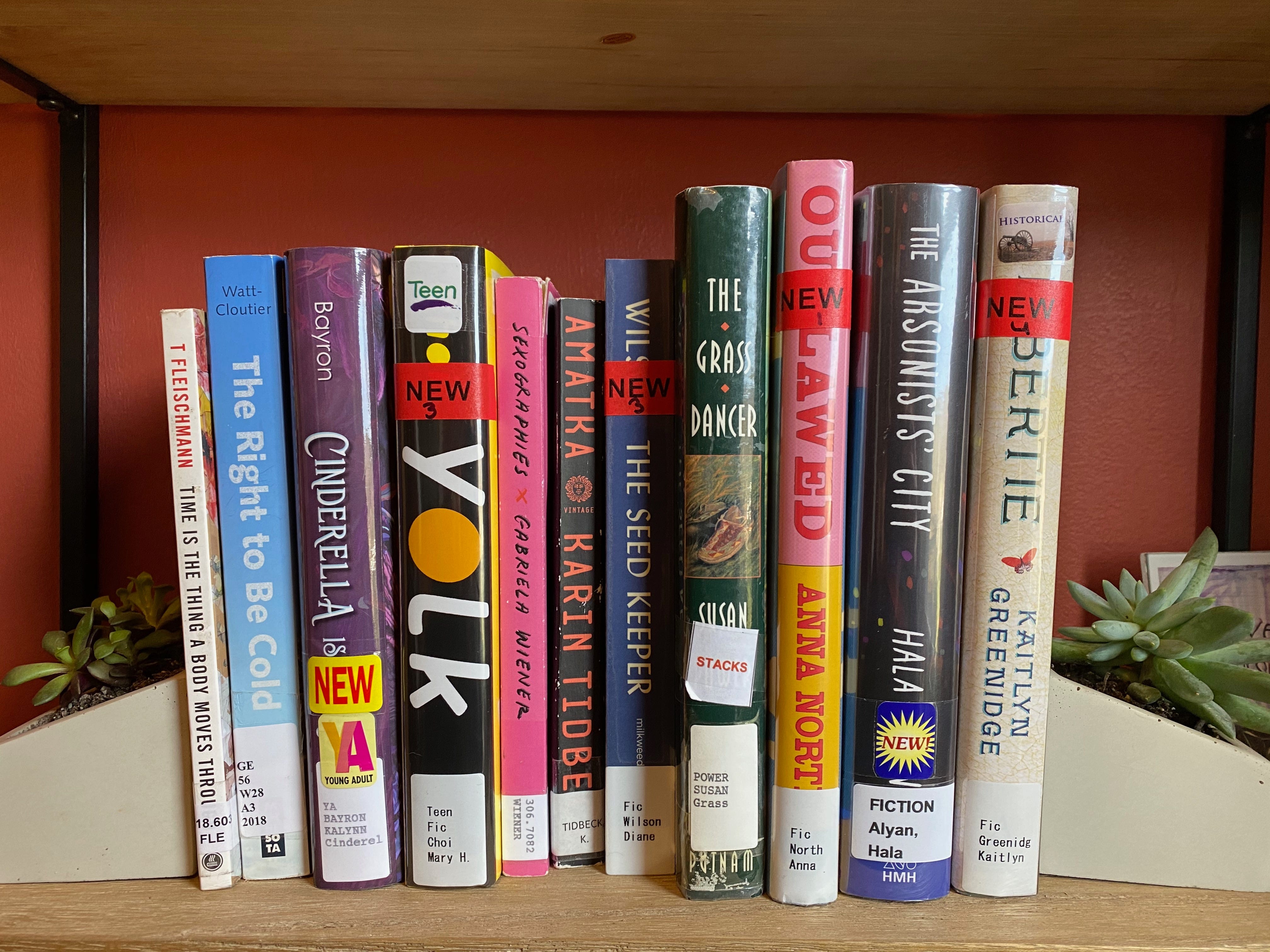 A shelf of library books between two small planter bookends holding succulents. The books are: Time is the Thing a Body Moves Through, The Right to be Cold, Cinderella is Dead, Yolk, Sexographies, Amatka, The Seed Keeper, The Grass Dancer, Outlawed, The Arsonists’ City, Liberite.