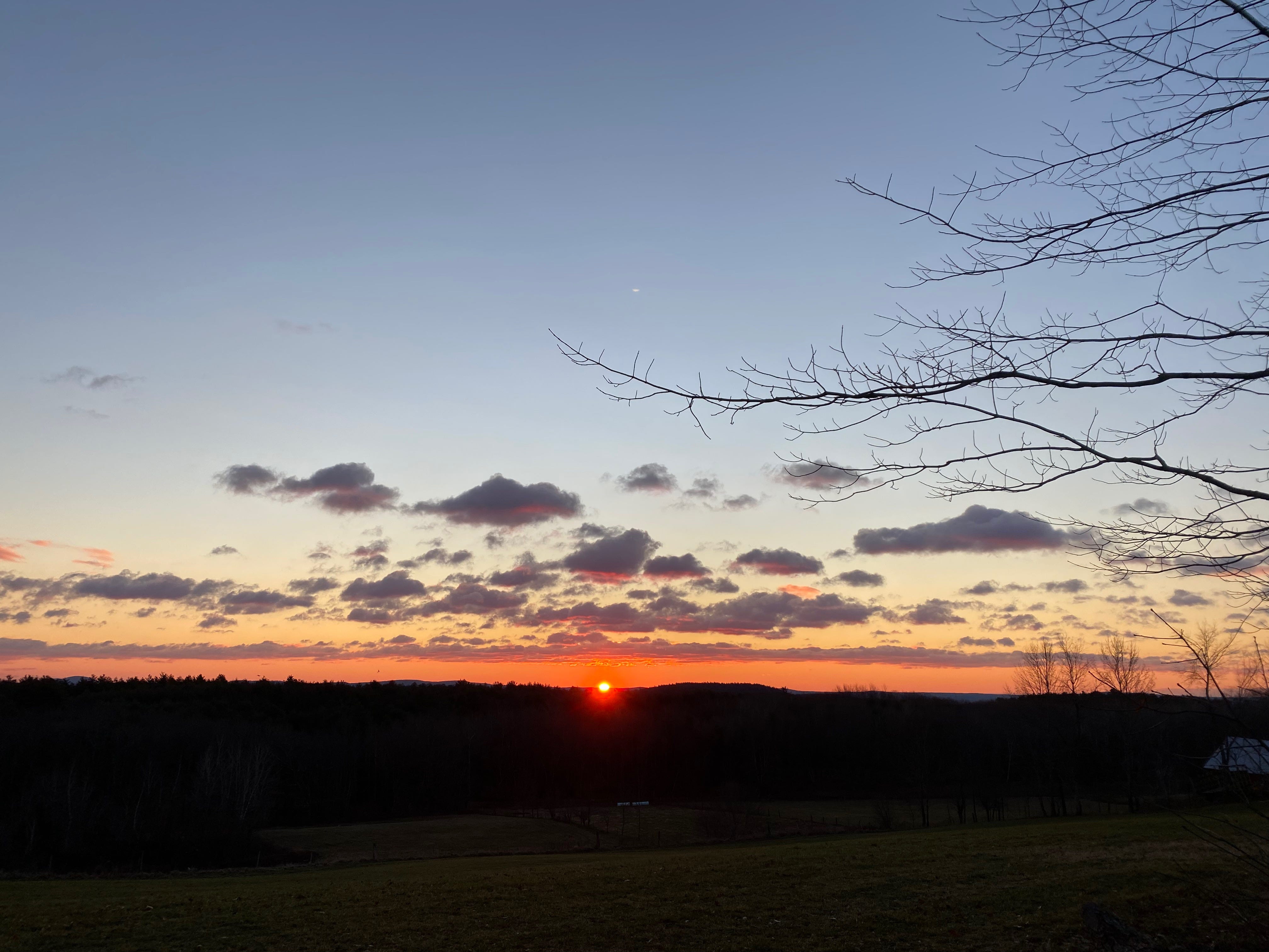 A sunrise over dark fields. The sky is deep blue, orange on the horizon, and full of purple clouds. The sun is just peeking up over the hills, and the black branches of tree are visible on the right edge of the photo.