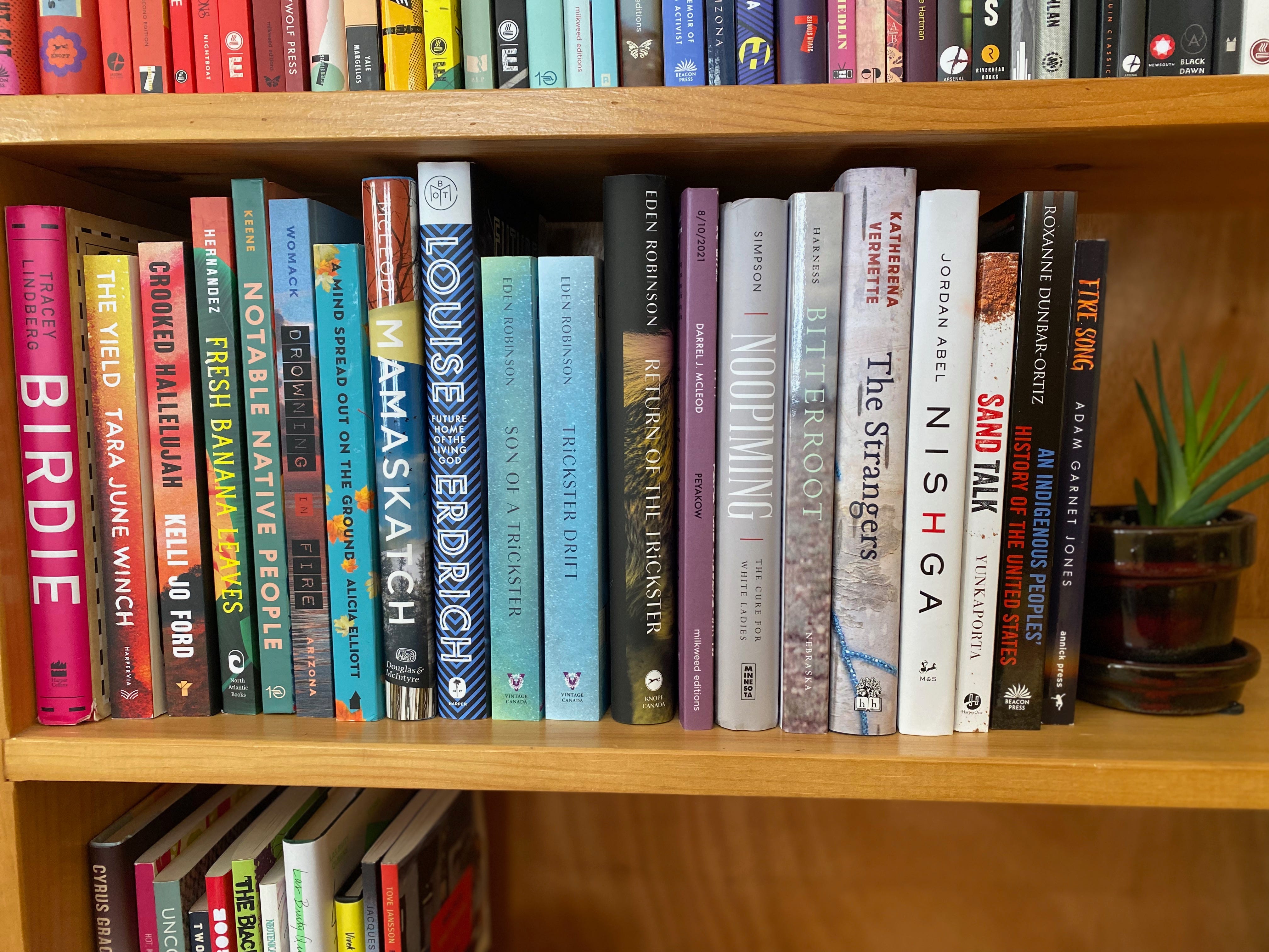 A shelf of colorful books, all by Indigenous authors, bookended by a succulent in a small brown planter. Bits of the books on the shelves above and below are just visible on the edges of the photo. Some of the books include: Birdie, The Yield, Cooked Hallelujah, Notable Native People, Drowning in Fire, Home of the Living God, Noopiming, Bitterroot, The Strangers, Nishga, Sand Talk, and Fire Song.