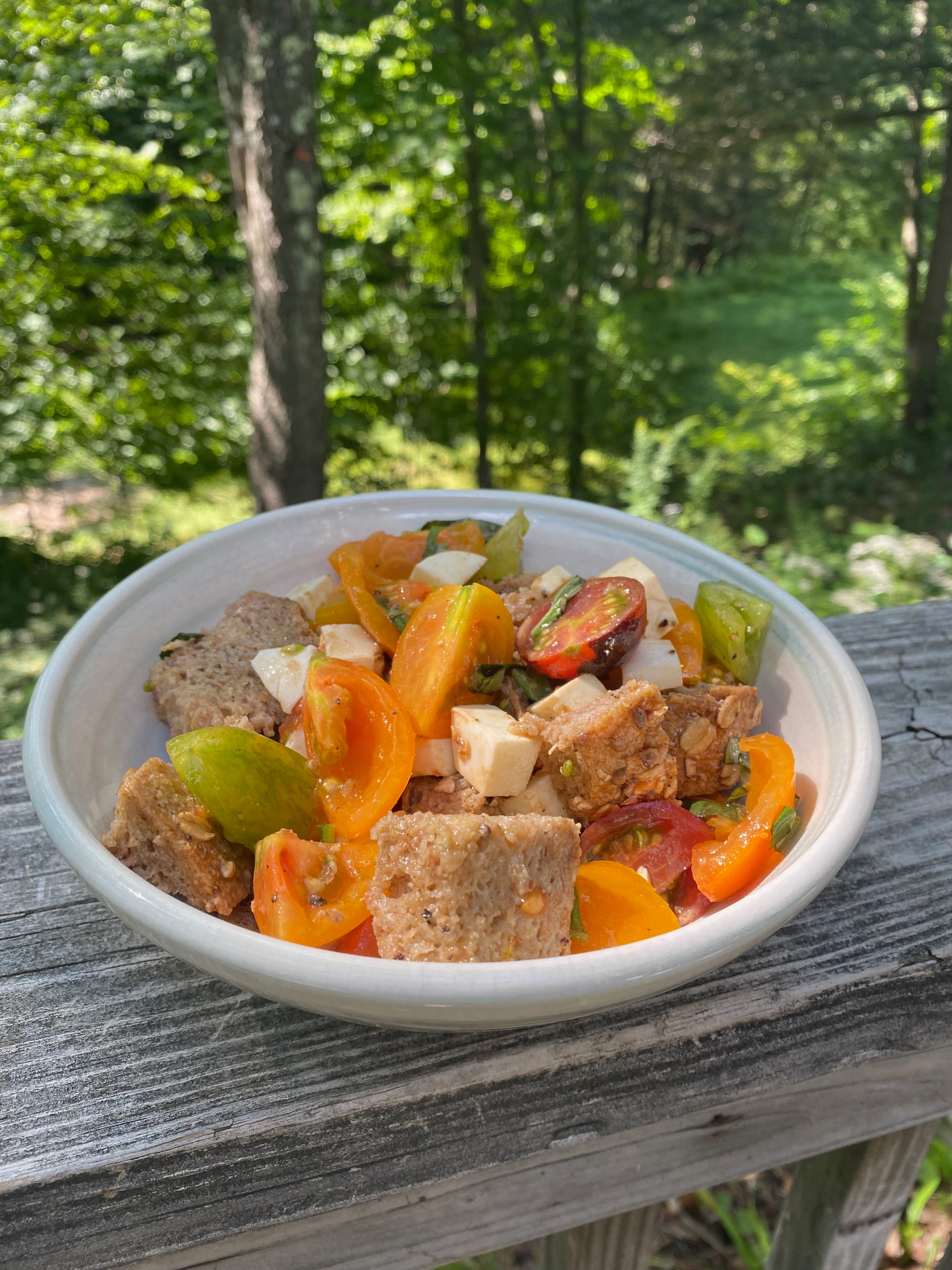 A white ceramic bowl full of chunks of bread, orange and green tomatoes, and basil. It’s sitting on a porch railing in front of bright green woods.