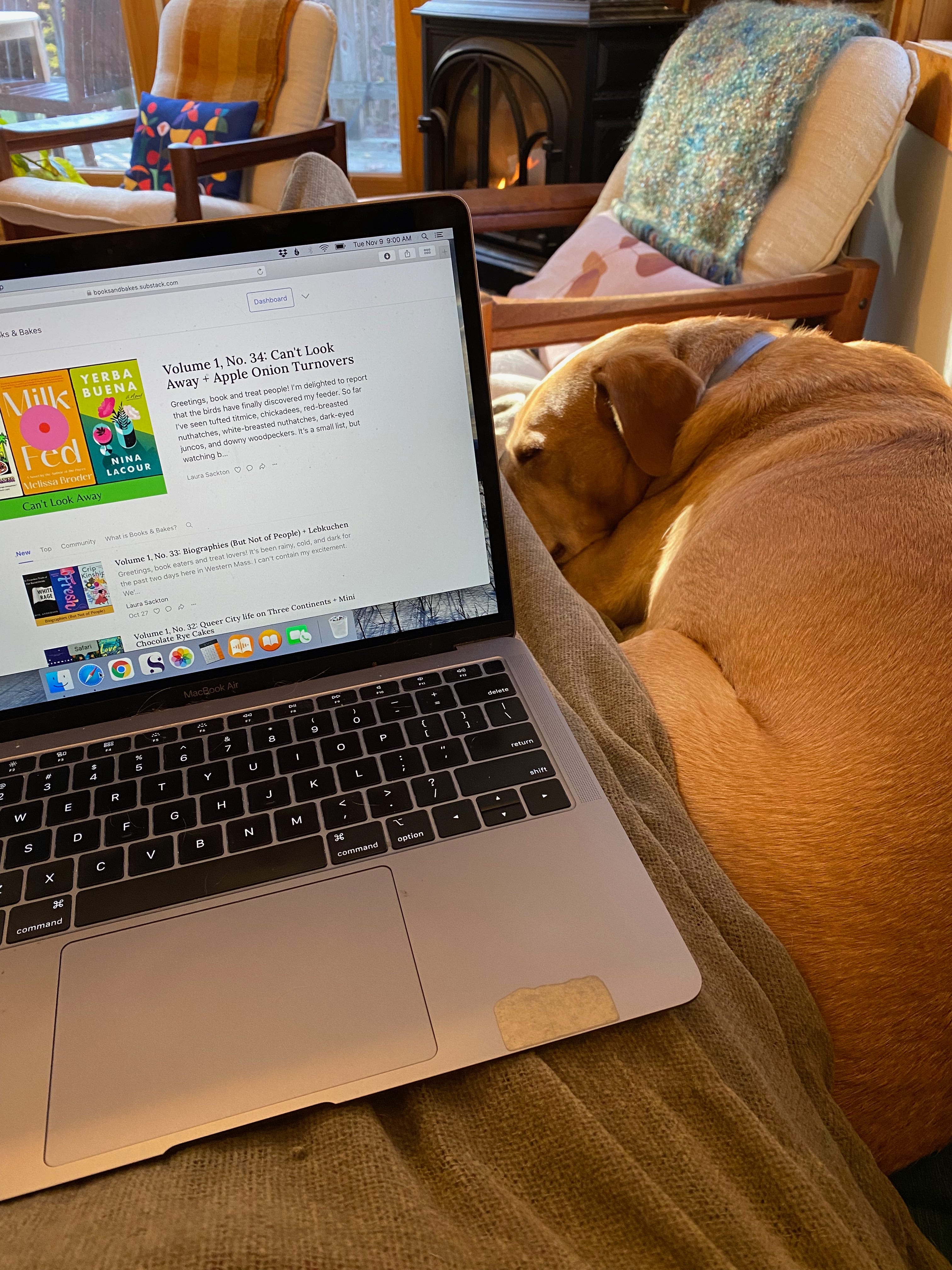 A view of my lap, legs stretched out, covered in a grey blanket. My computer is open to the Books & Bakes dashboard. My dog Nessa is lying next to me, head tucked into my legs, her eyes half closed. In the background are two armchairs with colorful blankets over their backs, and a propane stove with flames made to look like it is burning wood.