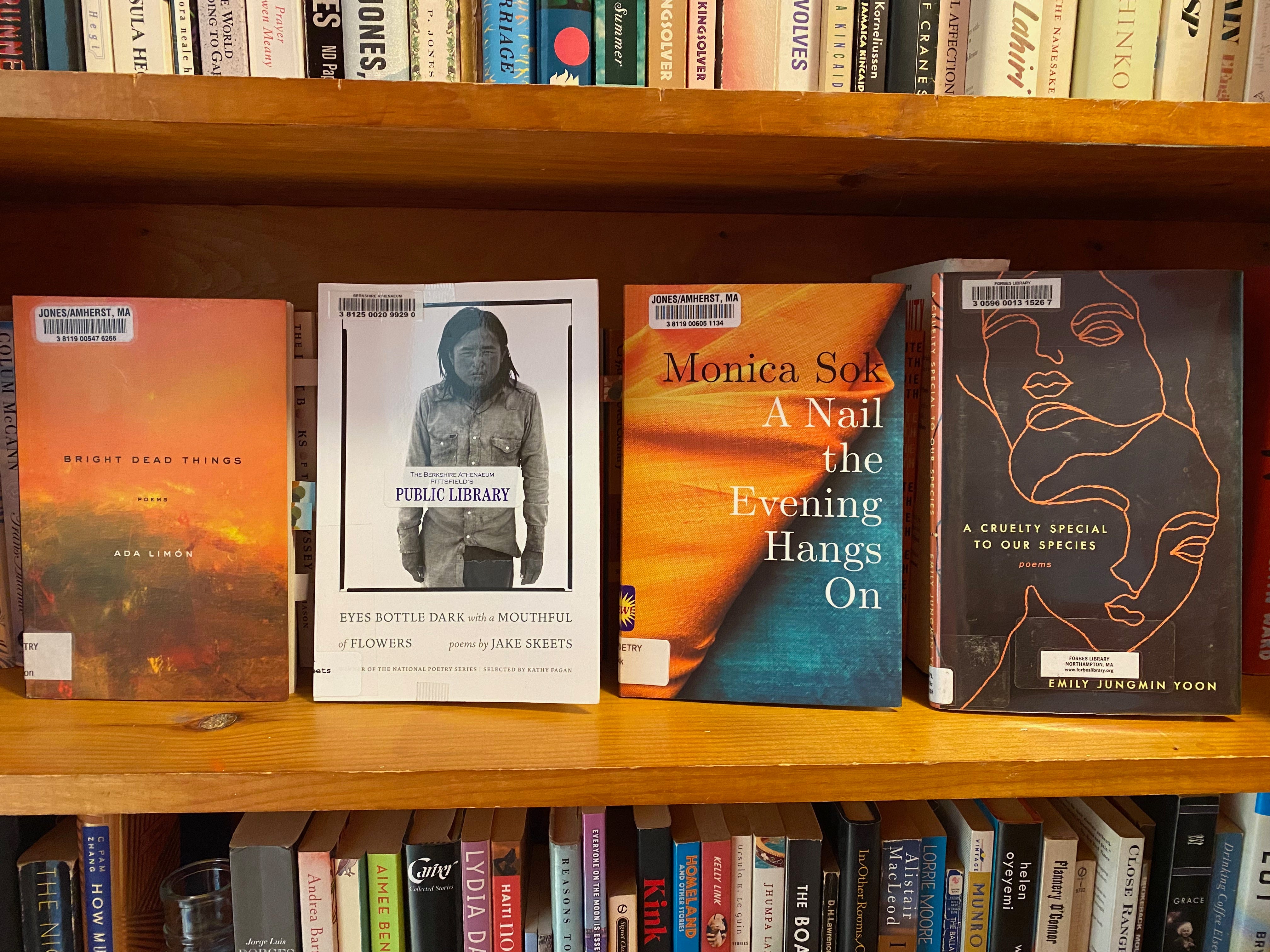 Four books lined up next to each other on a full bookshelf: Bright Dead Things, Eyes Bottle Dark With a Mouthful of Flowers, A Nail the Evening Hangs On, and A Curelty Special to Our Species.