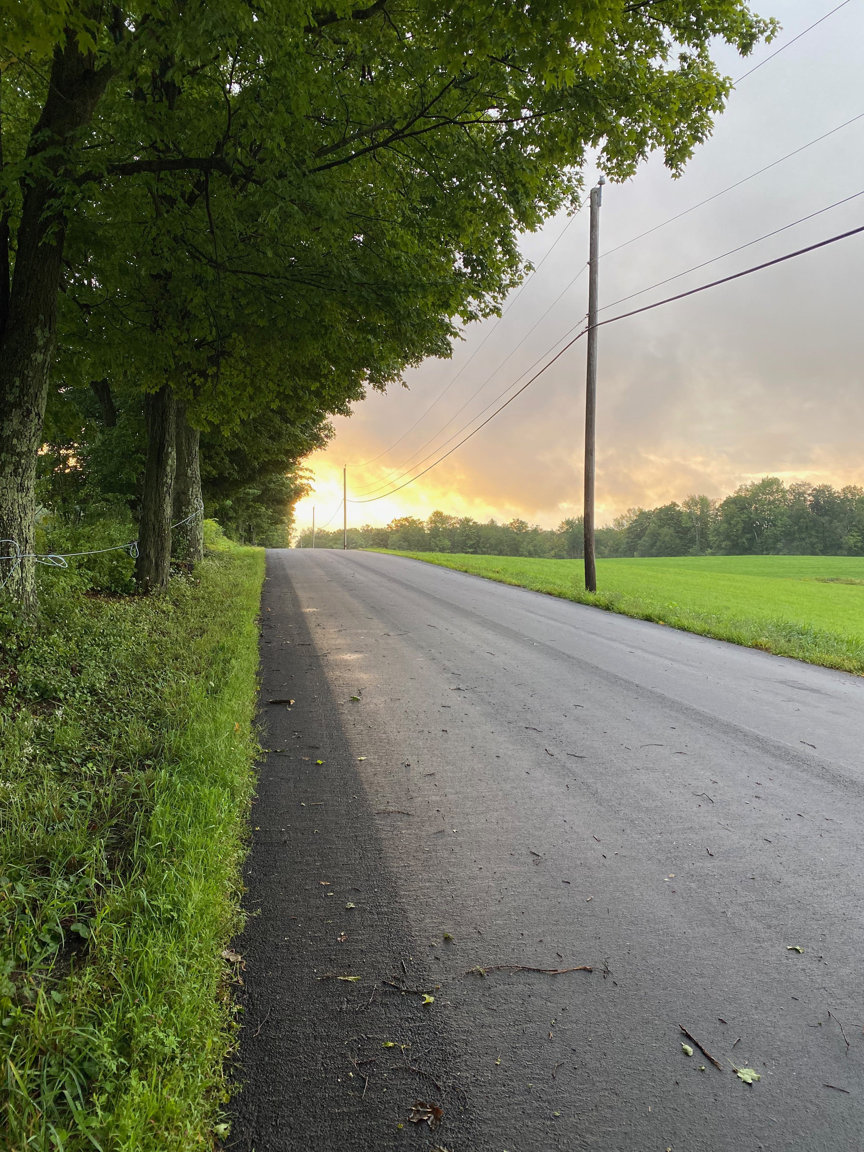 View of an empty road. There are large sugar maples on one side and a green field on the other. The sky is bright golden where the sun is rising, and filled with large orange-tinted clouds.