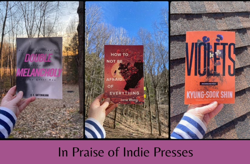Small images of my hand holding up the three featured books against different backgrounds: Double Melancholy against a sunset, How to Not Be Afraid of Everything against bare trees and a blue sky, Violets against a shingled roof. Below are the words ‘In Praise of Indie Presses’ on a purple background.