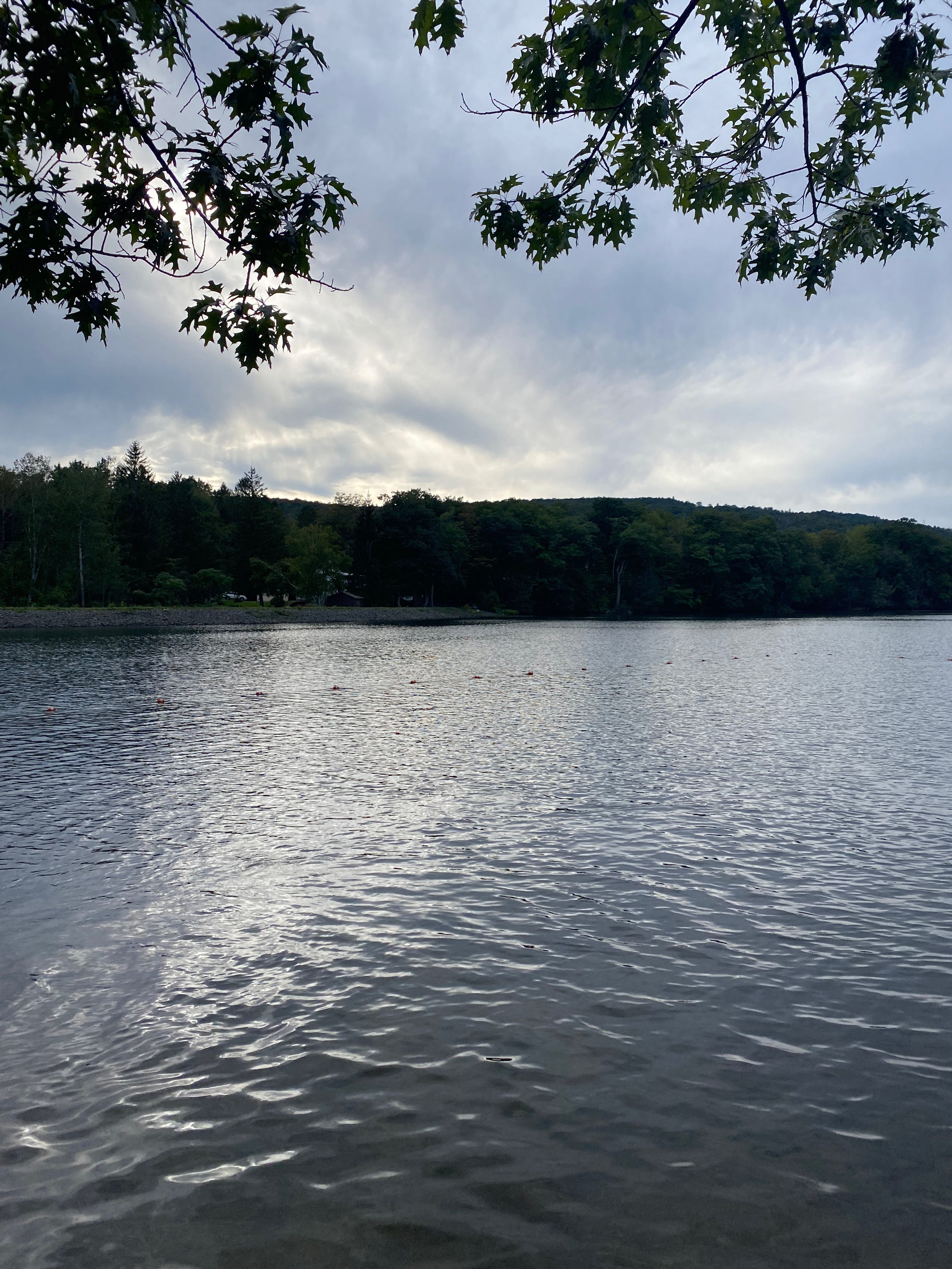 Ashfield Lake on a cloudy day: the sky full of clouds, the water shimmering grey, the trees in the background dark.