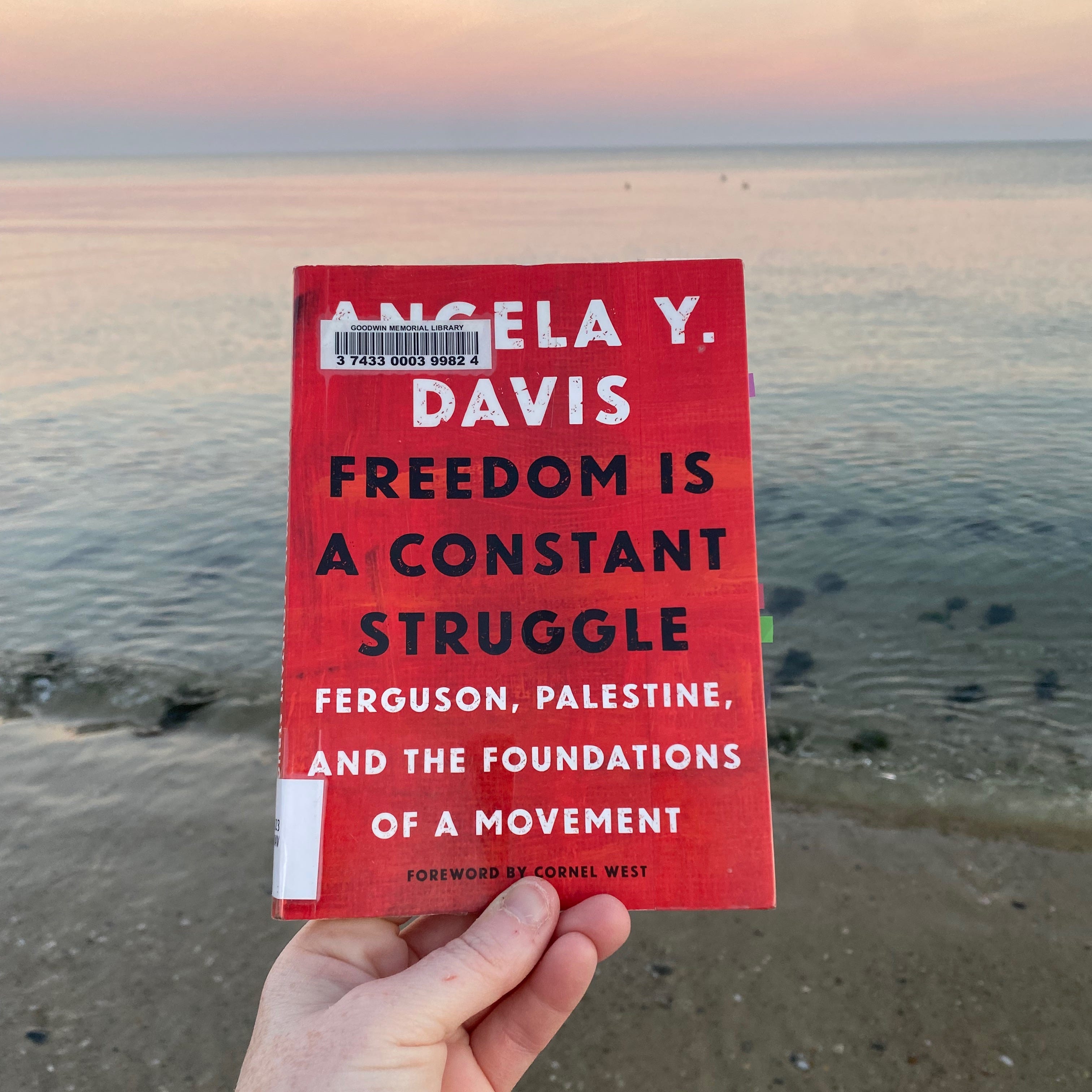 I’m holding up this book in front of the still ocean at sunrise, the sky pink and orange.