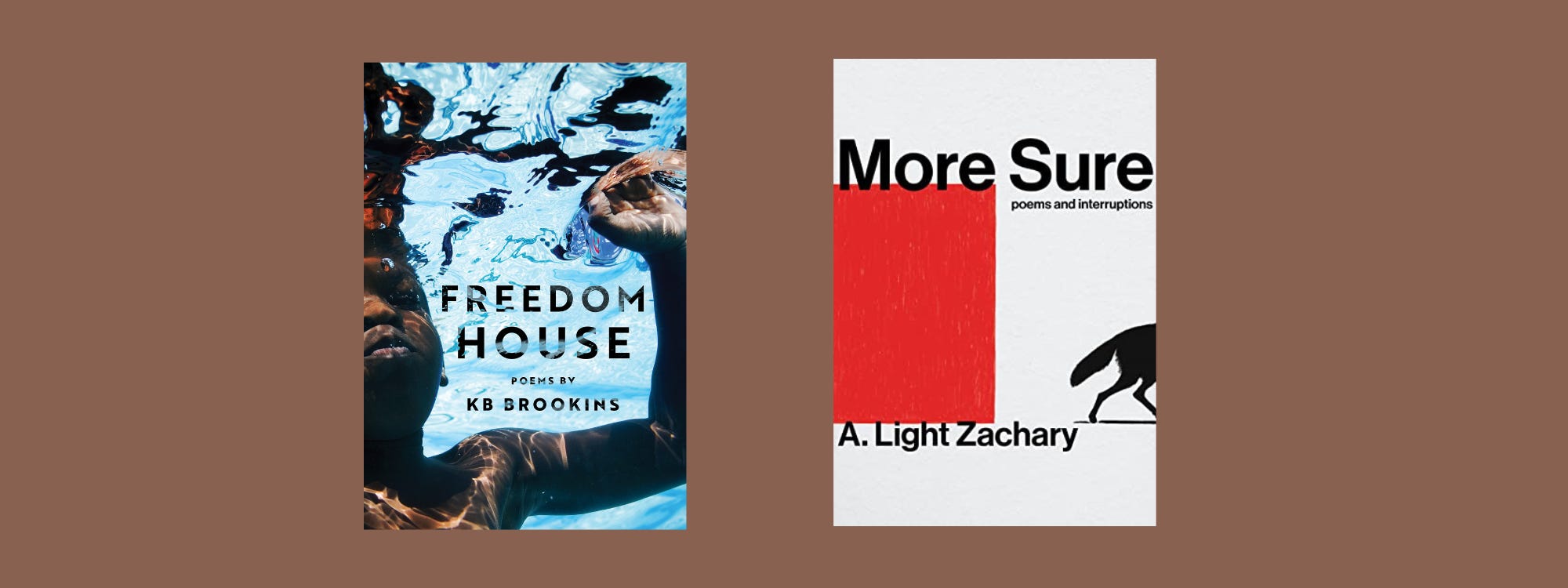 Small cover images of the listed books on a brown background.