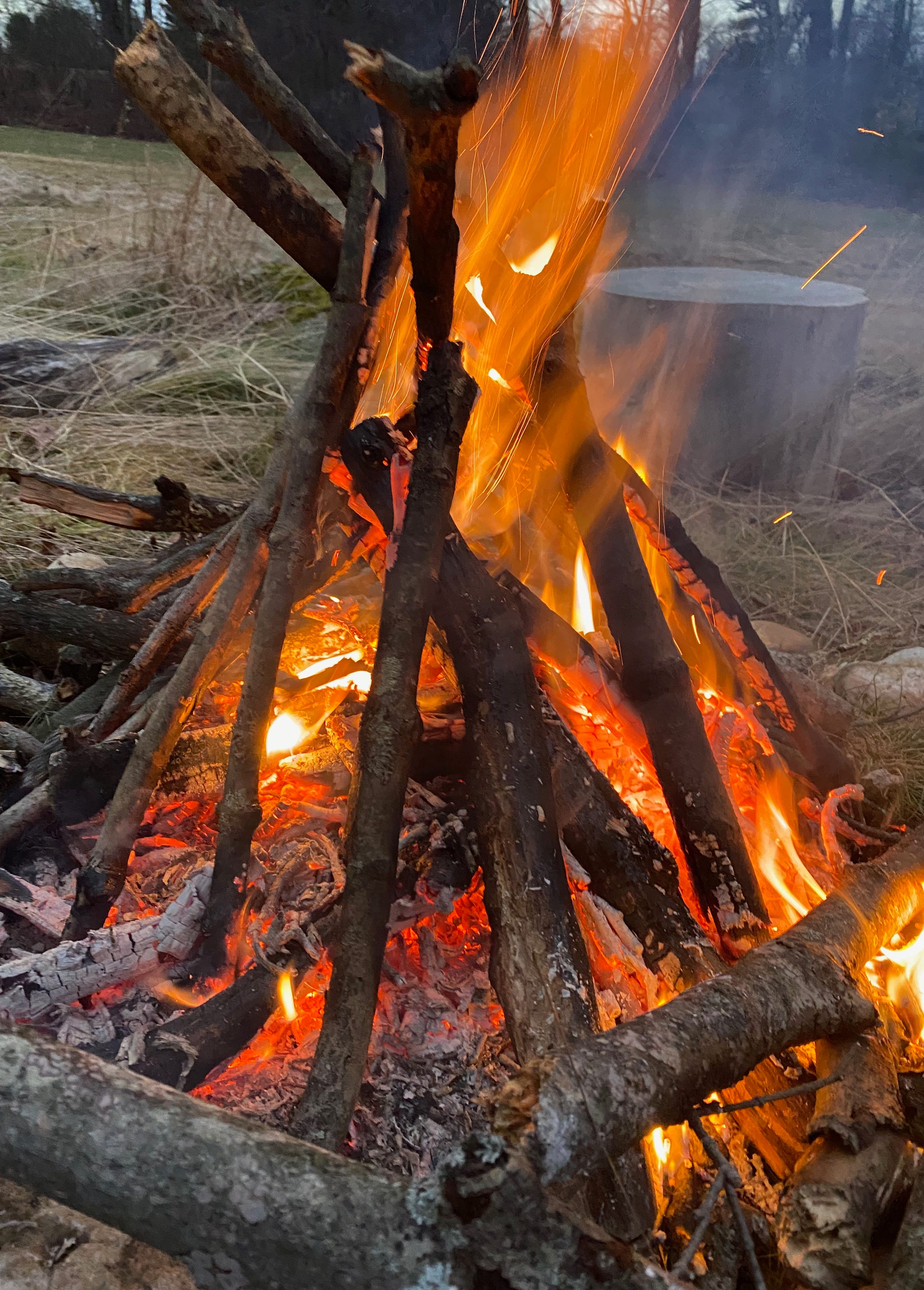 Closeup of a bonfire: bright orange flames flickering up toward the sky and glowing goals.