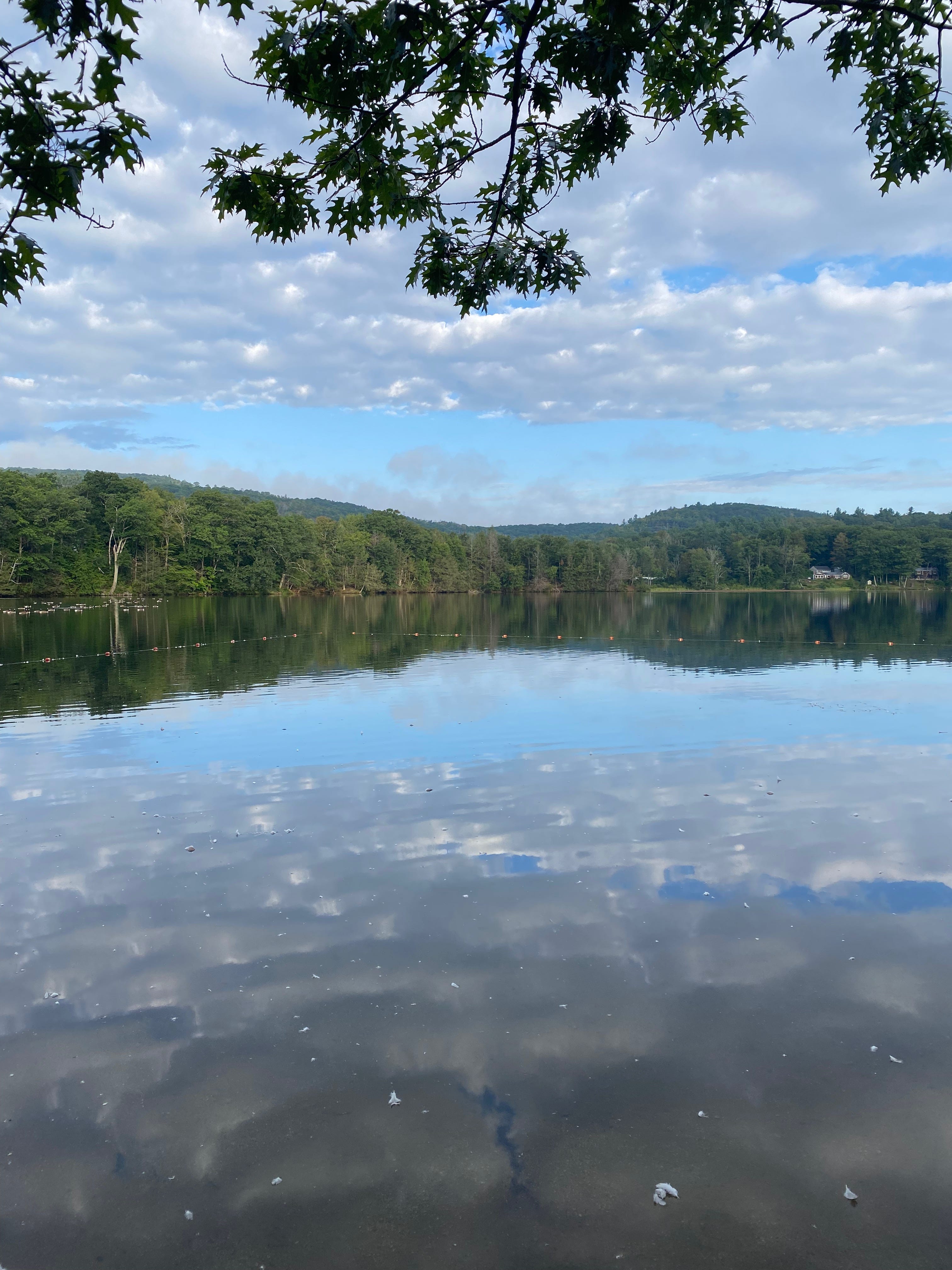 View of a still lake surrounded by distant hills. The sky is full of white clouds, reflected on the lake’s surface. Oak branches frame the top of the photo.