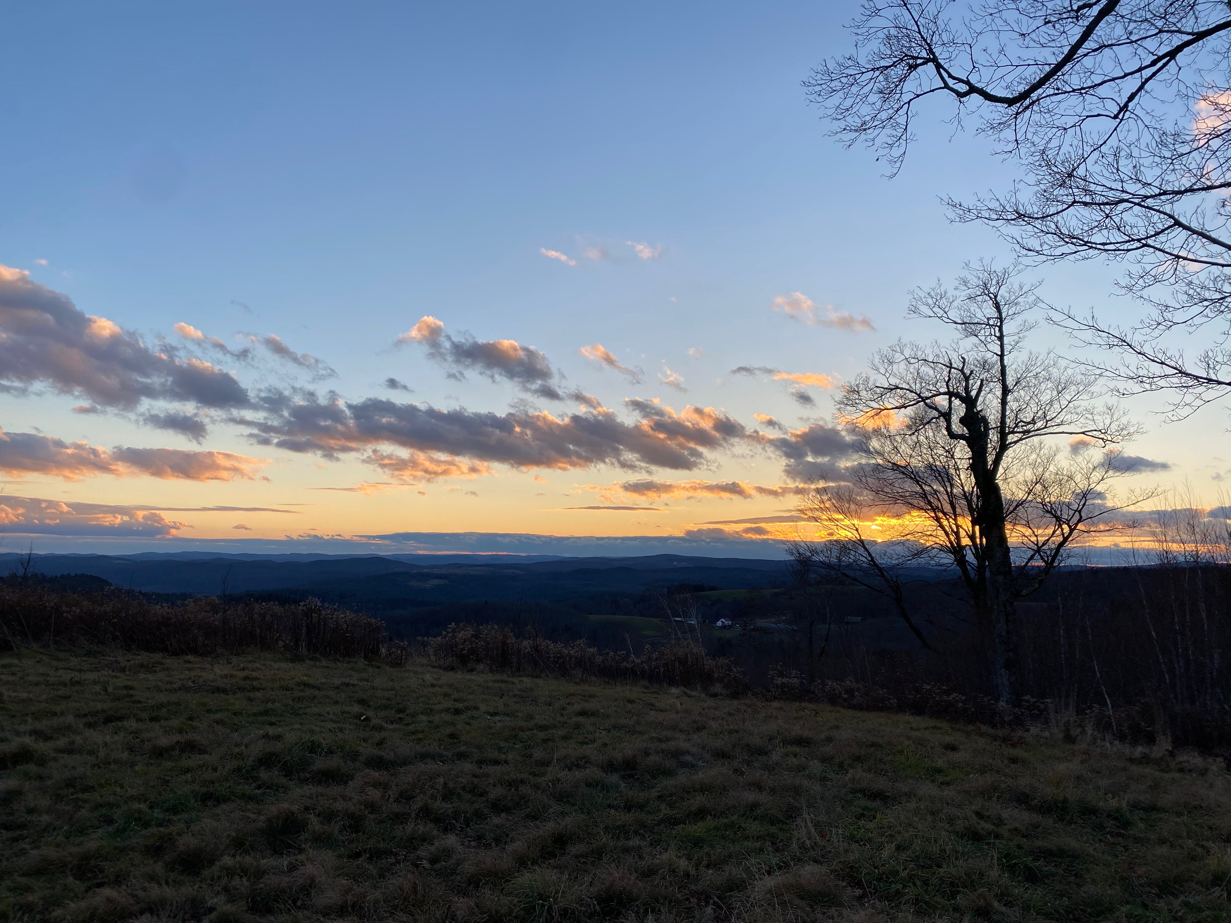 The ridge at sunset: dark hills, black bare tree branches, deep blue sky, pink clouds, golden sun setting on the horizon.