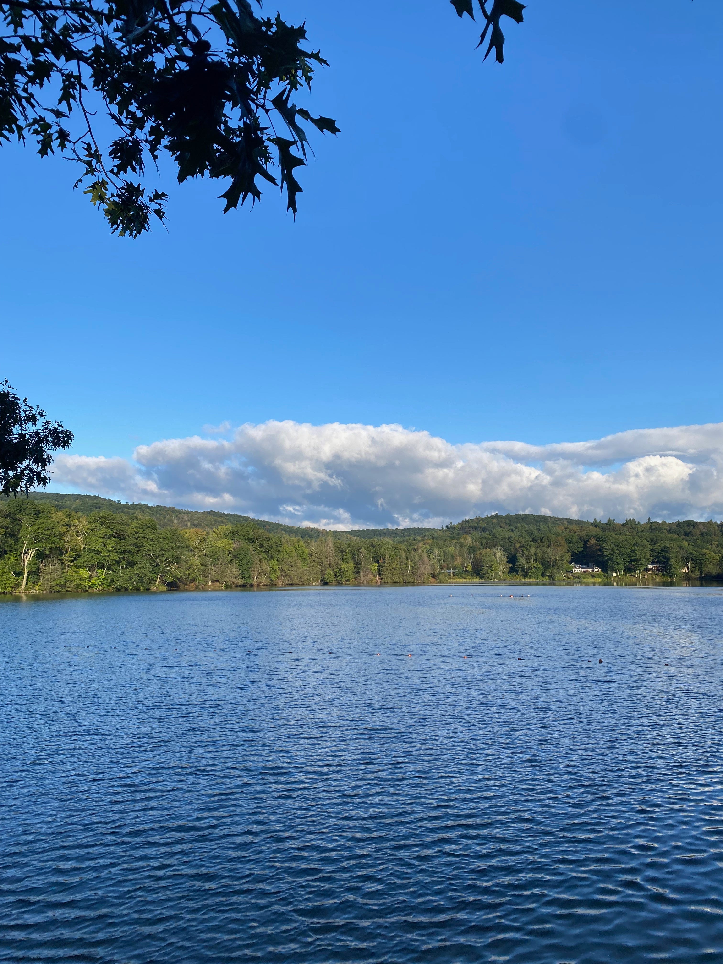 Ashfield Lake on a clear day. The sky is a deep blue, the water shimmery and rippled. A few leaves on the surrounding hills are just starting to turn. 