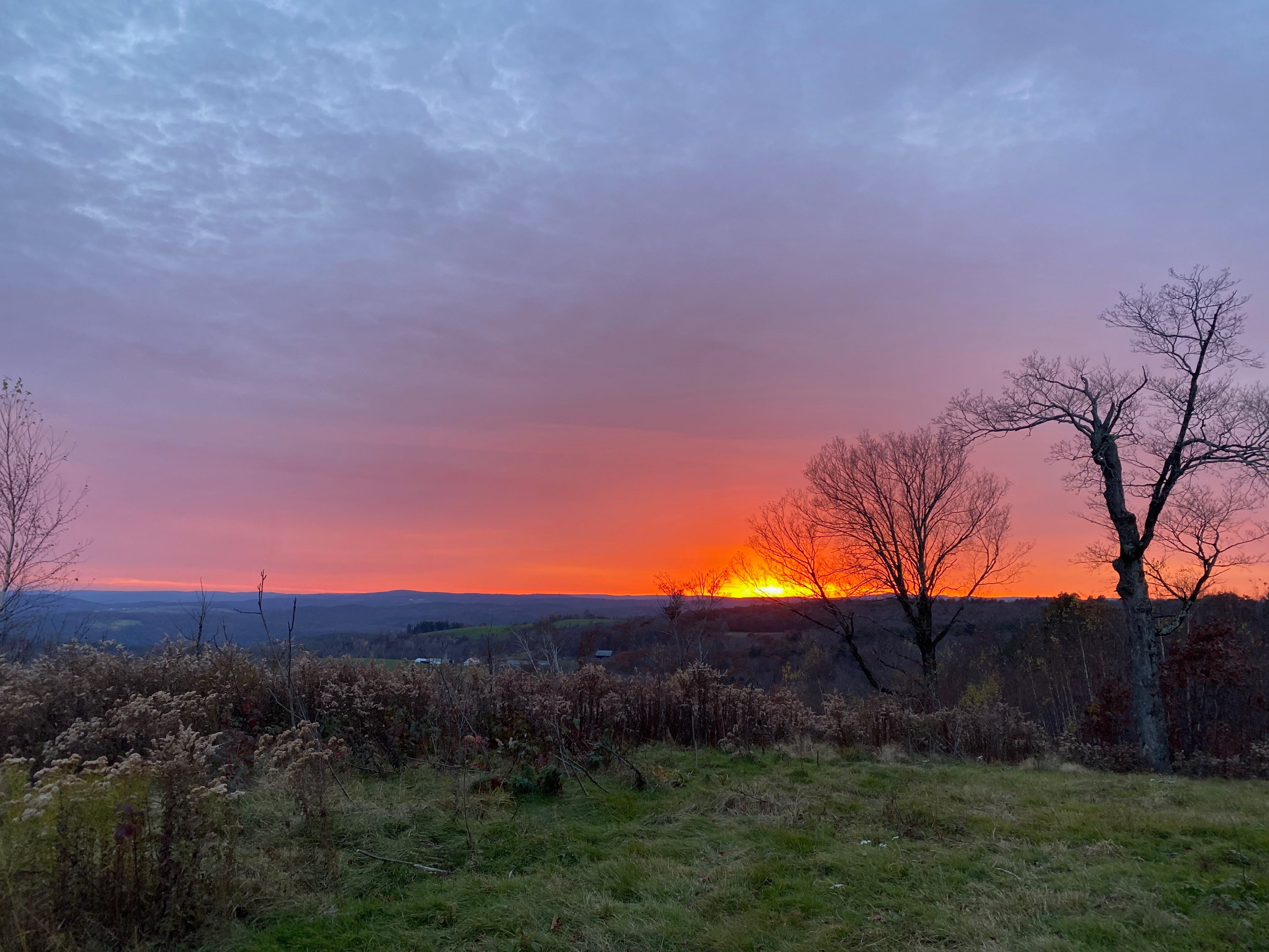 View of a brilliant sunset from a ridgetop. The sky is red, pink, and purple, the sun a golden orb low on the horizon. Two bare black trees are silhouetted against the sky.