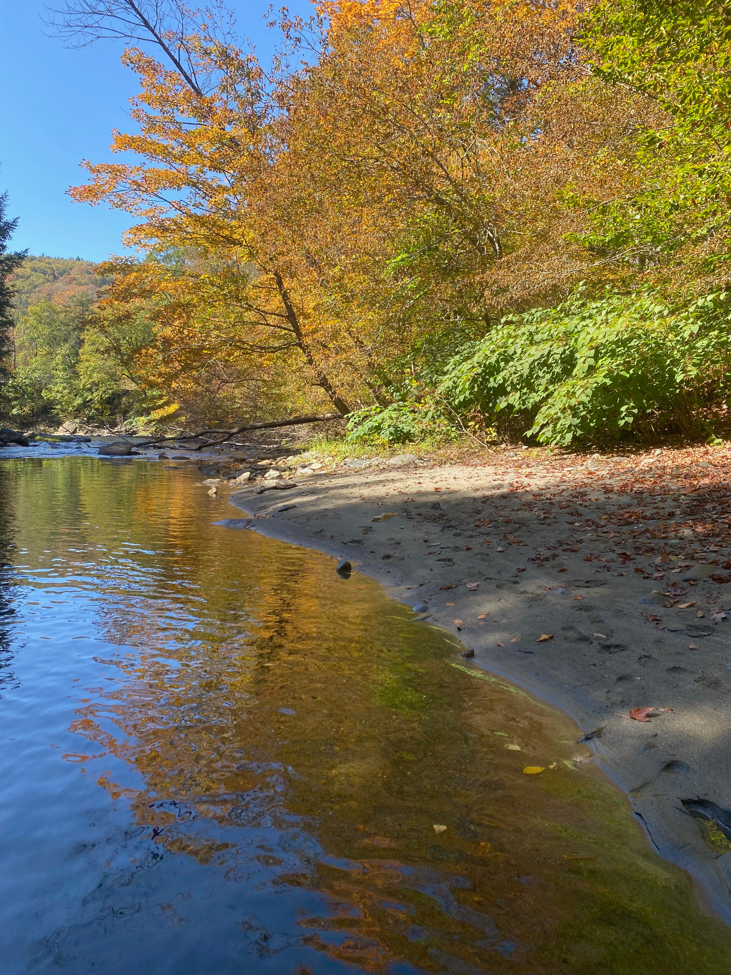 A deep pool on a river, the surface reflecting the gold and orange hues of the trees along its bank.