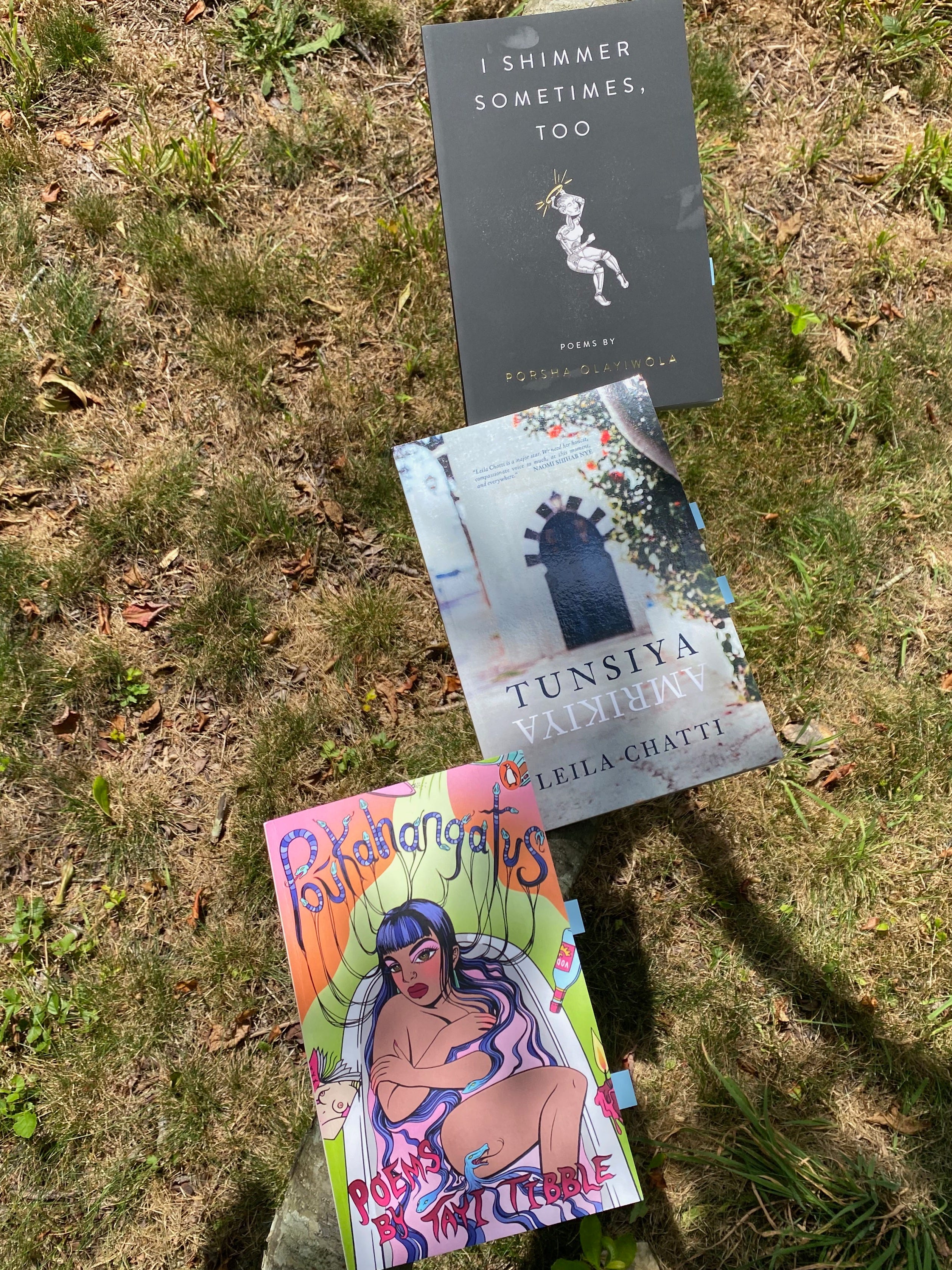 I Shimmer Sometimes, Too, Tunsiya-Amrikiya, and Poukahangatus lie flat on a low tree branch above a green and brown lawn.