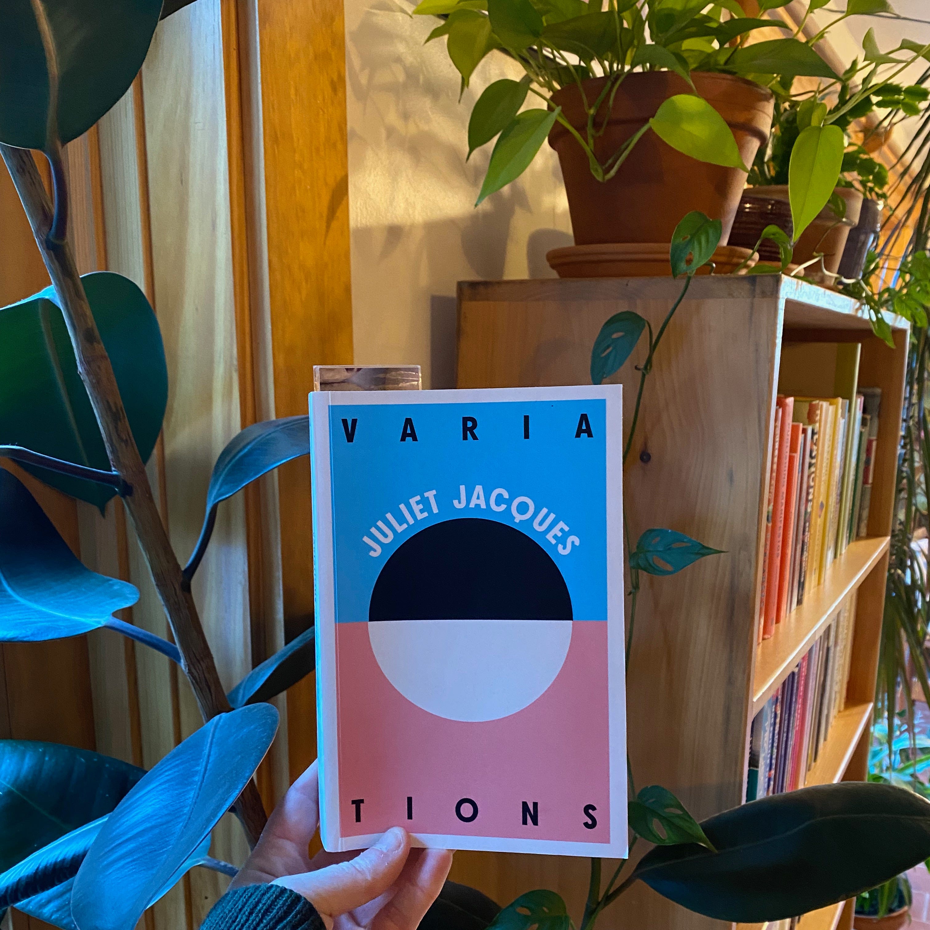 I’m holding up Variations in front of a sunny bookcase full of houseplants.