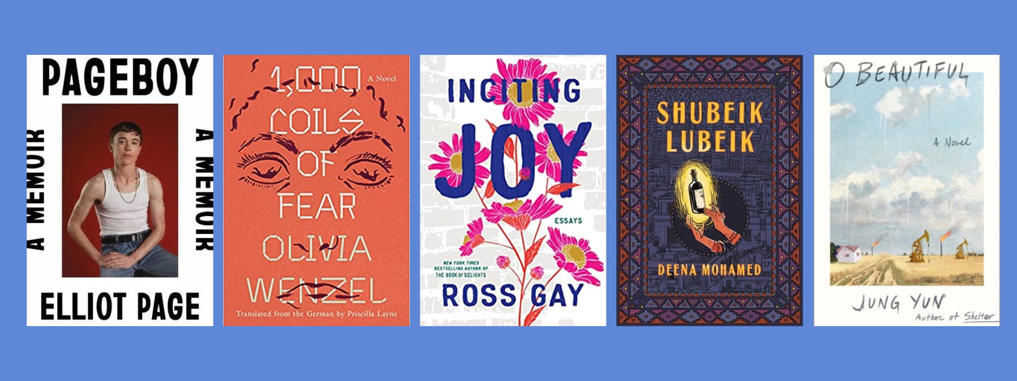 Cover images of the listed books on a blue background.