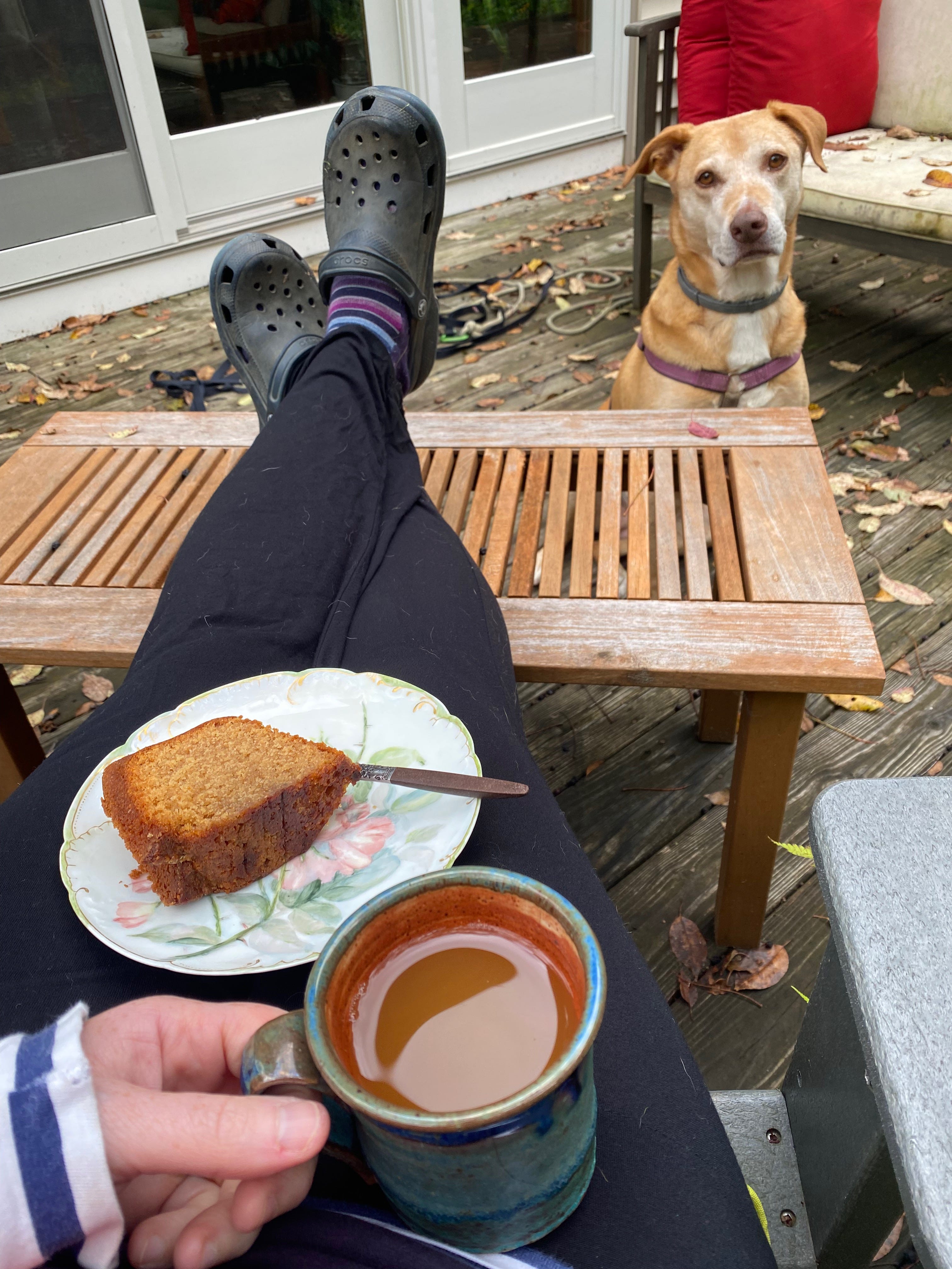 My legs stretched out, resting on an outdoor coffee table. I have a plate of cake and a mug of cider in my hand. Nessa is looking at me with her head cocked.