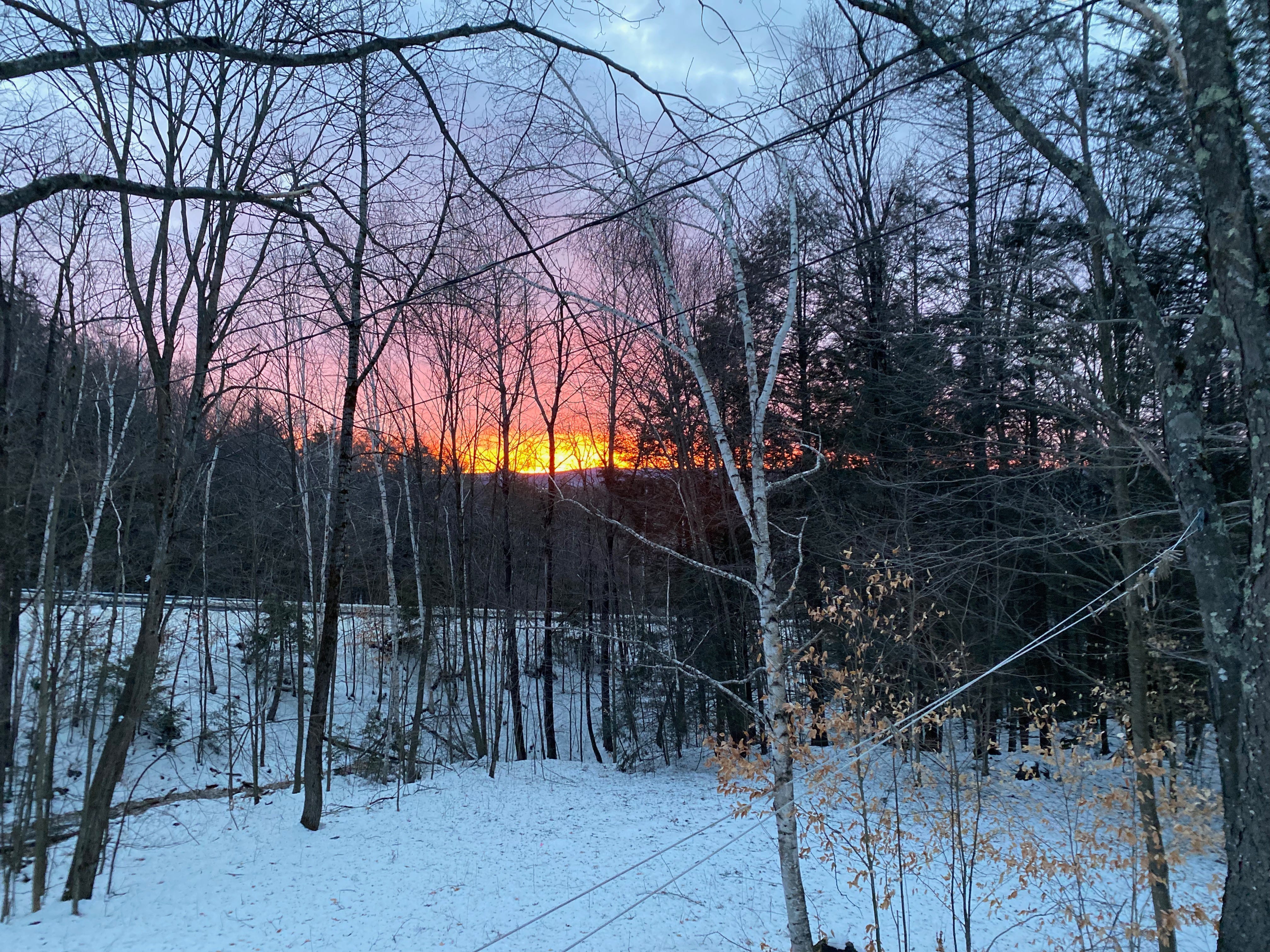 A view of trees and sky, with a blaze of gold, pink, and orange on the horizon where the sun is setting.